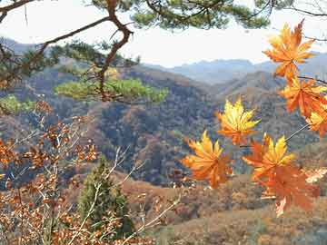 美味快遞電影,小紅書(shū)推薦不容錯(cuò)過(guò)的電影盛宴——美味快遞????