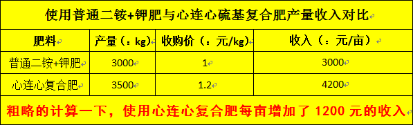 心連心復(fù)合肥最新價(jià)格