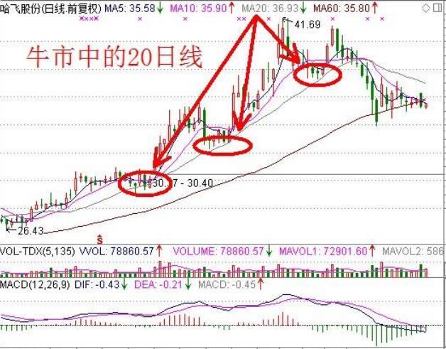 中國(guó)鋁業(yè)最新股價(jià),中國(guó)鋁業(yè)最新股價(jià)，變化中的機(jī)遇，學(xué)習(xí)中的自信與成就