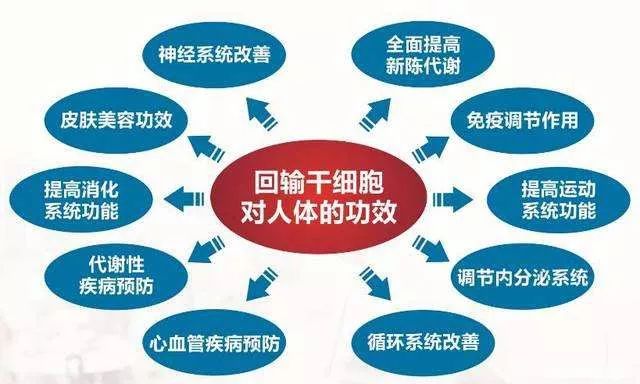 干細(xì)胞最新進(jìn)展與心靈自然之旅，前沿消息揭秘