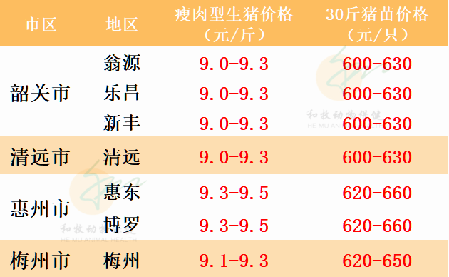 廣東生豬價(jià)格最新行情更新，今日豬價(jià)走勢(shì)分析