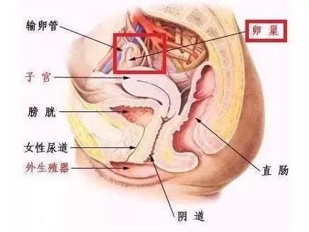 按摩師招聘網(wǎng)最新招聘,按摩師招聘網(wǎng)最新招聘——尋找專業(yè)的按摩師，共筑健康之路