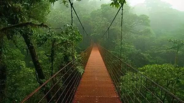 治愈之旅（或自然美景探索）