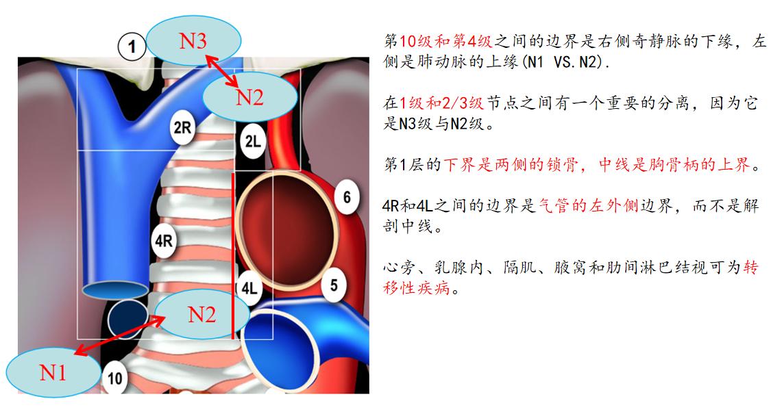 最新tnm分期標(biāo)準(zhǔn),最新TNM分期標(biāo)準(zhǔn)，深入理解與應(yīng)用