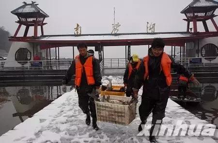 捕魚游戲王最新版本,捕魚游戲王最新版本，深度解析與觀點闡述