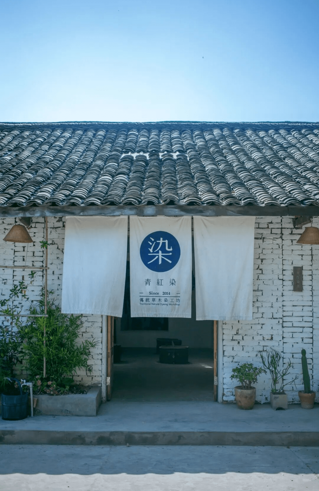 醫(yī)藥最新動態(tài)