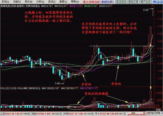 芝麻價(jià)格最新行情及深度分析