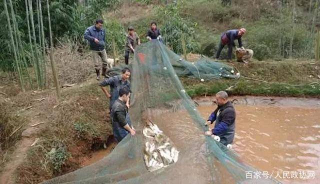 晉城張少波，自然美景中的內(nèi)心平和之旅最新消息