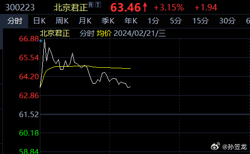 北京君正最新動態(tài)，深度分析最新消息及其影響，觀點(diǎn)闡述