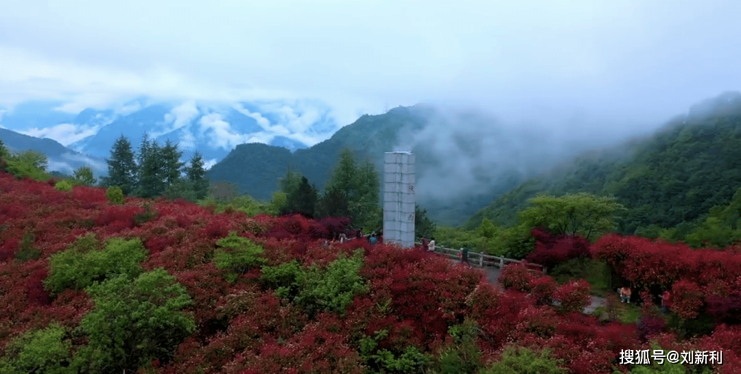 尉氏縣搬遷消息最新