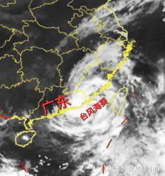 煙花臺(tái)風(fēng)最新消息交織的溫馨日常故事