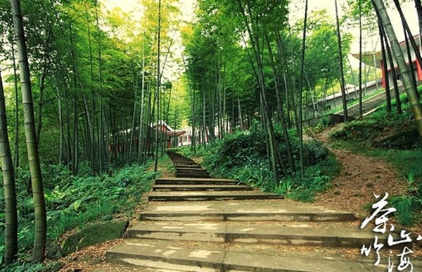 永川茶山竹海探秘