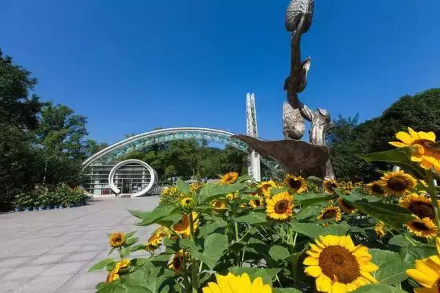 廈門(mén)植物園最新探索之旅，自然美景盡收眼底