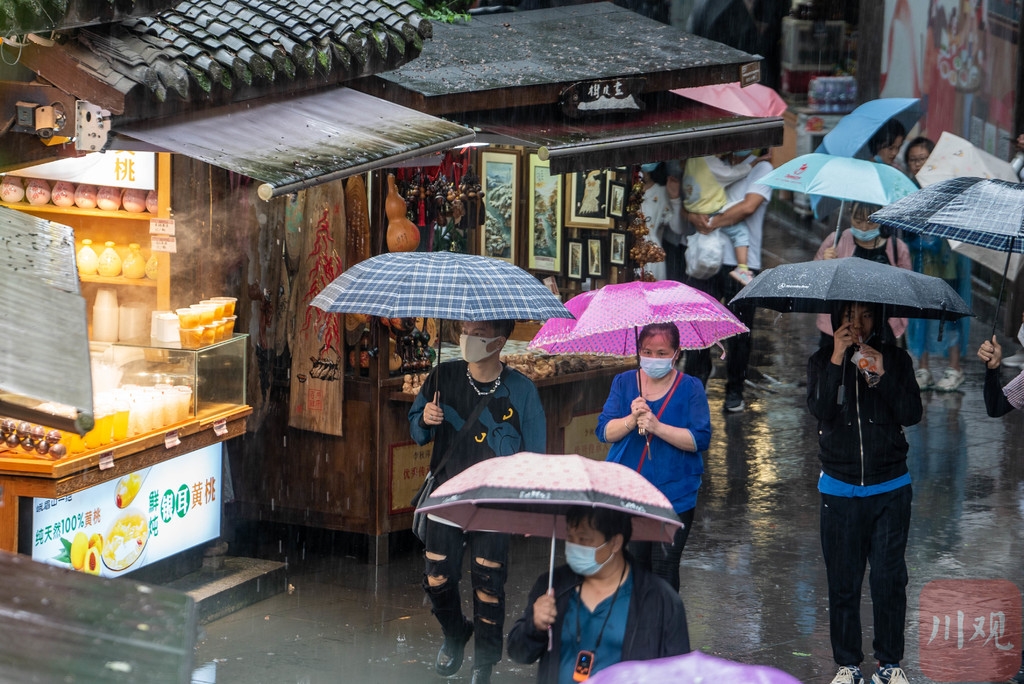 絲雨王姐最新探秘，小巷中的美食秘境