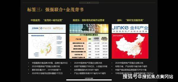 最新職業(yè)斗狗，趨勢、挑戰(zhàn)與深度解析