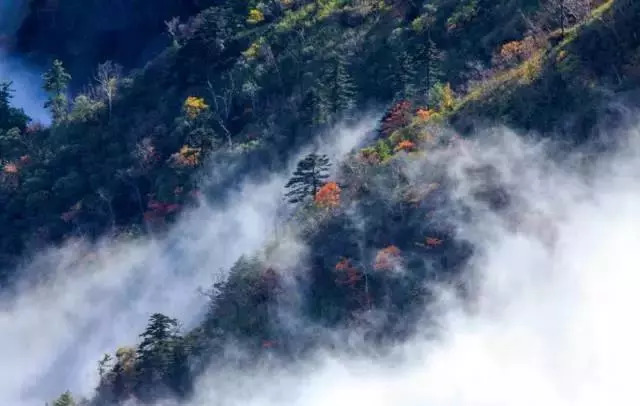 探尋秦嶺深處，與自然美景的邂逅，尋找內(nèi)心的平和寧靜之旅