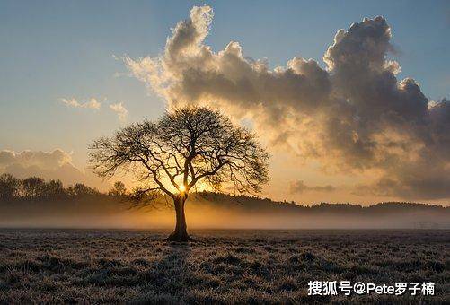 癡荊最新，自然美景之旅，探尋內(nèi)心平和與喜悅的旅程