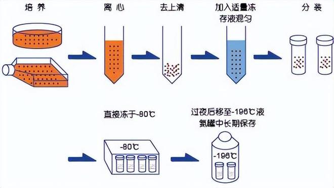 最新國產(chǎn)哈希技術的雙刃劍效應