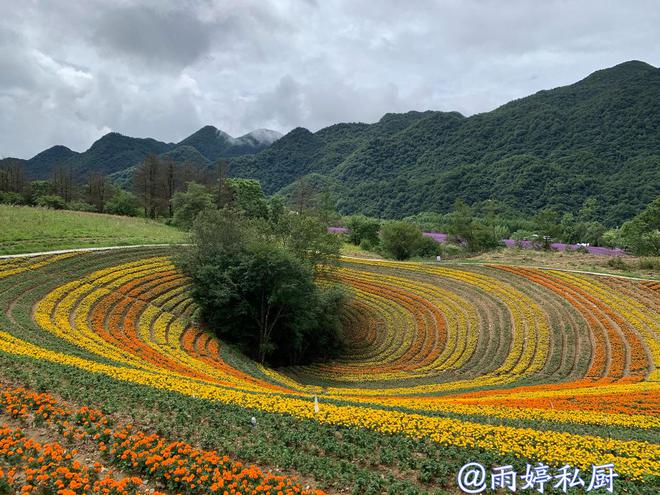 中科昊泰最新動(dòng)態(tài)，探索自然美景之旅，尋求內(nèi)心平和寧?kù)o的旅程