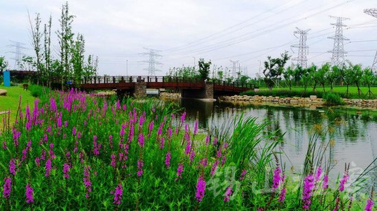 無錫錫東新城最新動(dòng)態(tài)，自然美景探索之旅，尋找內(nèi)心平和與寧?kù)o的旅程