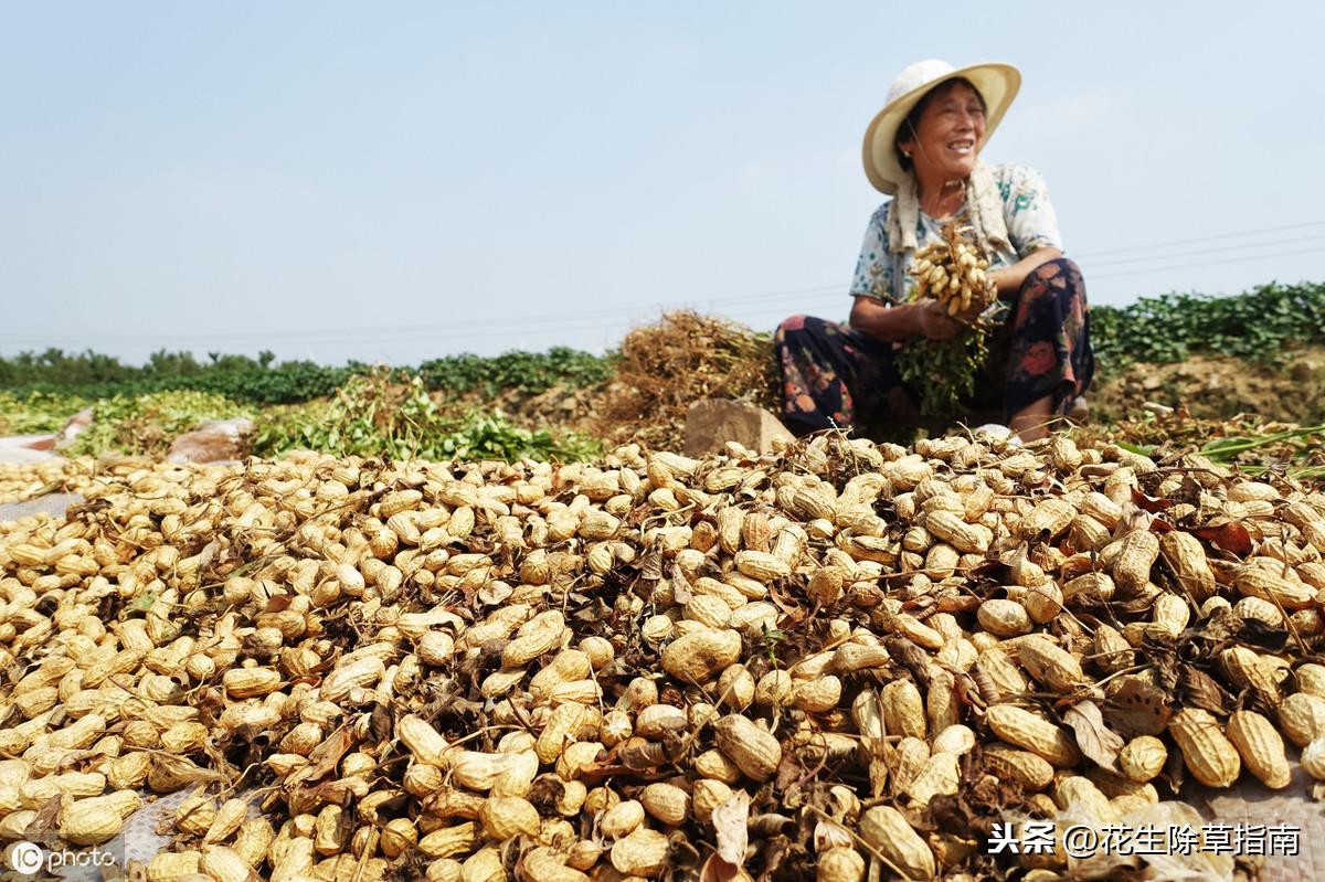 鄒城萬德廣場的日常故事，最新消息揭秘