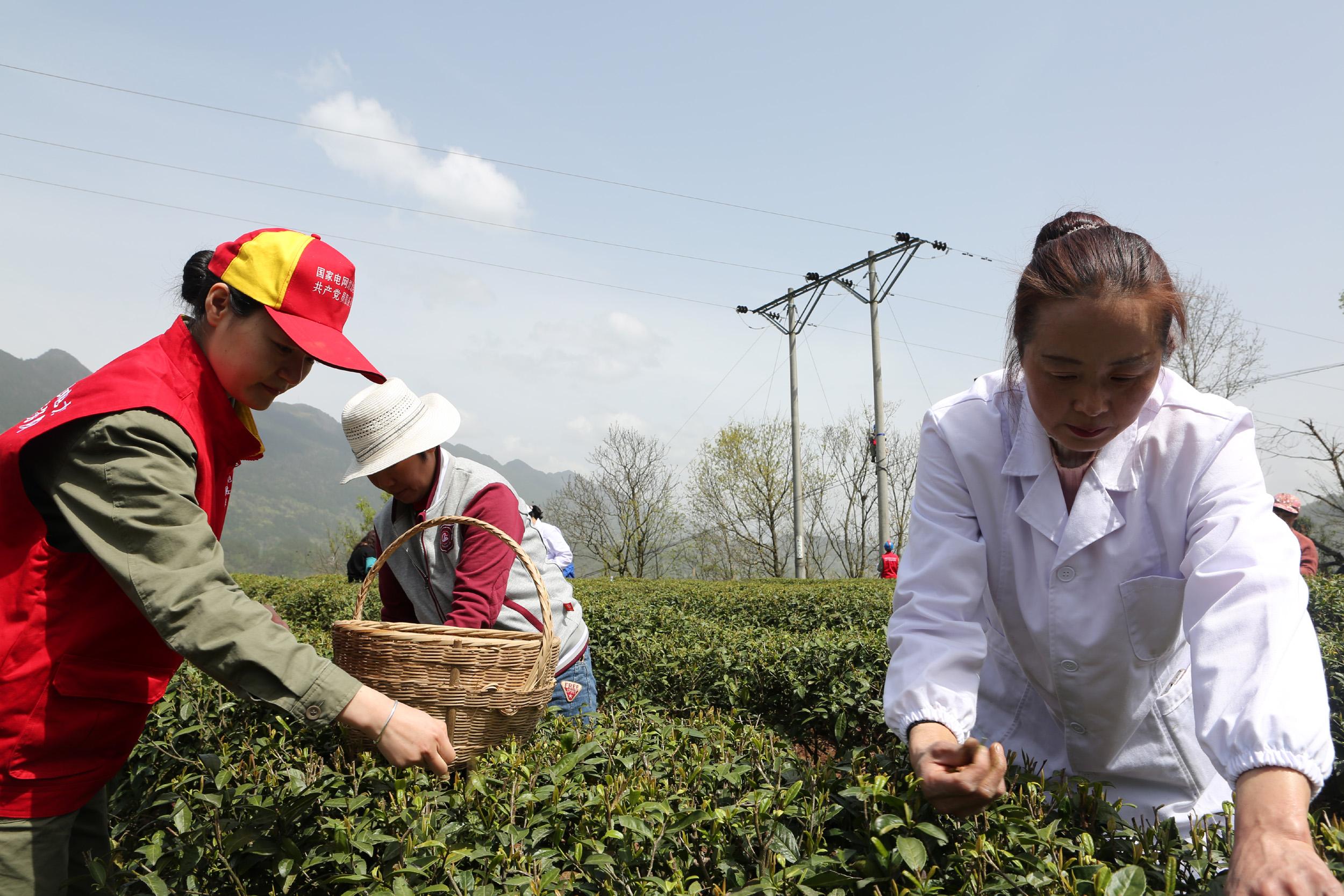 建始三里鄉(xiāng)最新新聞深度分析與觀點(diǎn)闡述