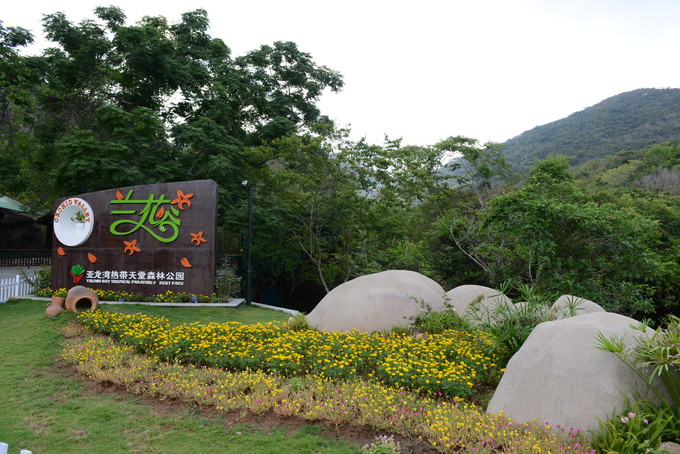 德誠花園，自然美景與心靈寧靜的探索之旅