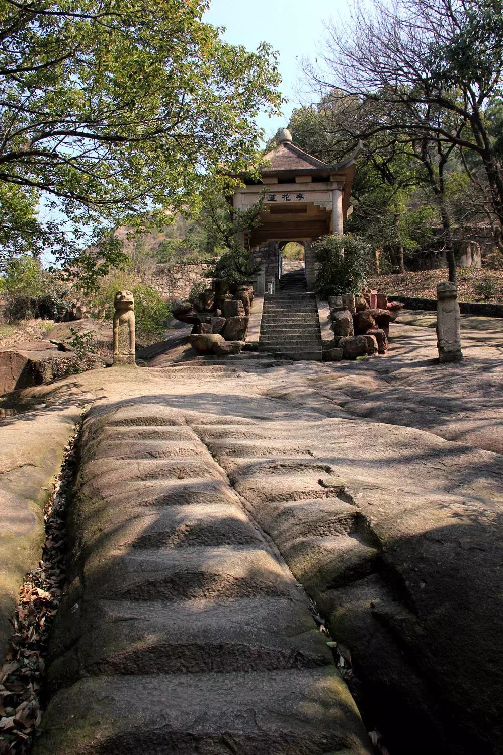 升興股份最新動態(tài)，自然美景探索之旅的心靈洗滌與提升體驗