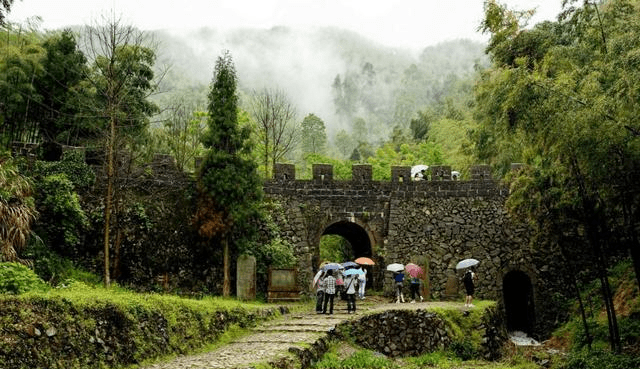 李紙路改造最新動態(tài)，自然美景的探索之旅啟程