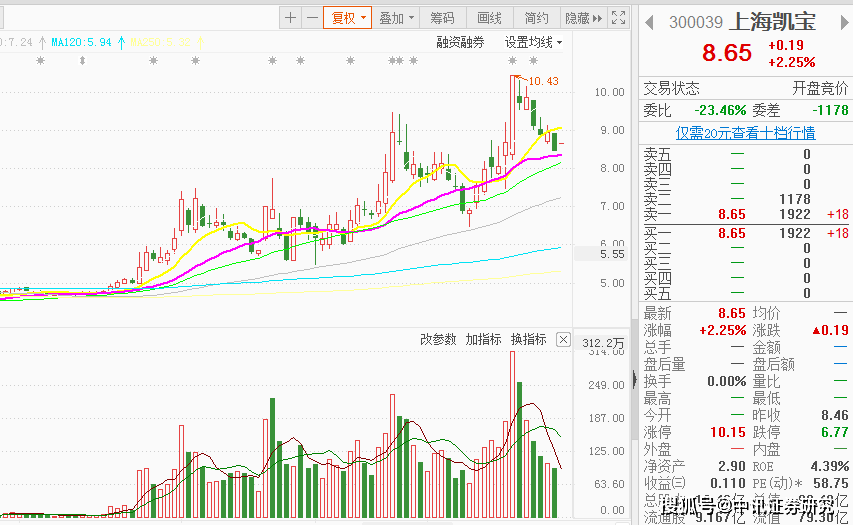 上海凱寶股票最新消息,上海凱寶股票最新消息，一場自然美景的探索之旅