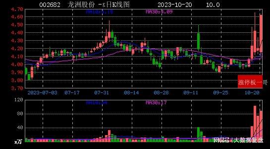 龍洲股份最新動態(tài)與小巷深處的獨(dú)特風(fēng)味揭秘