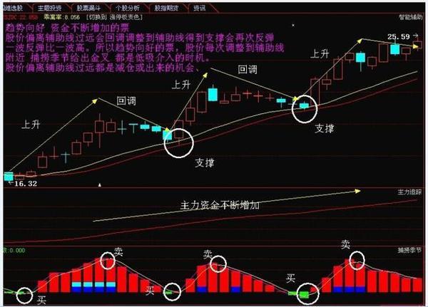 王子新材最新股票動態(tài)，自然美景的探索之旅啟程！