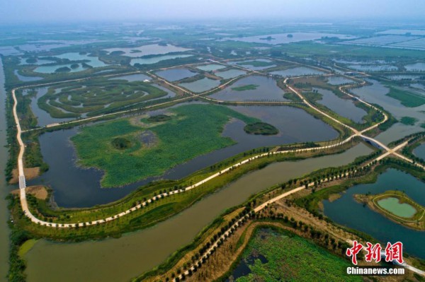 杭州白馬湖最新動態(tài)，自然美景之旅，探尋內(nèi)心寧靜與平和